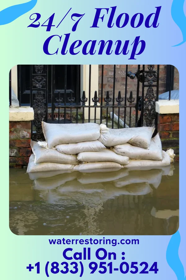24/7 Flood Cleanup in Talty, TX