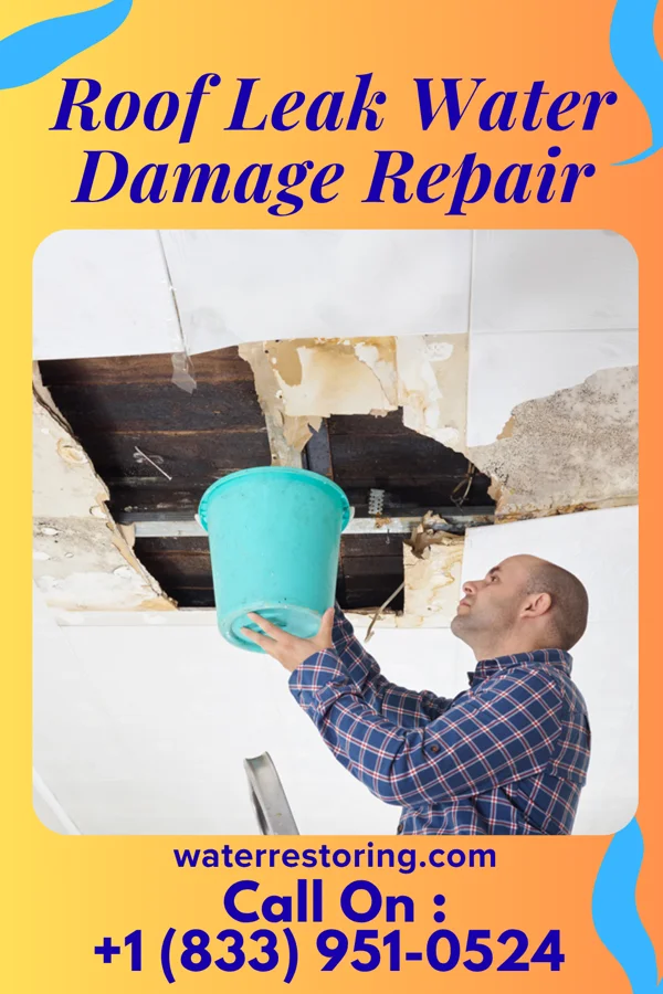 Roof Leak Water Damage Repair in Talty, TX