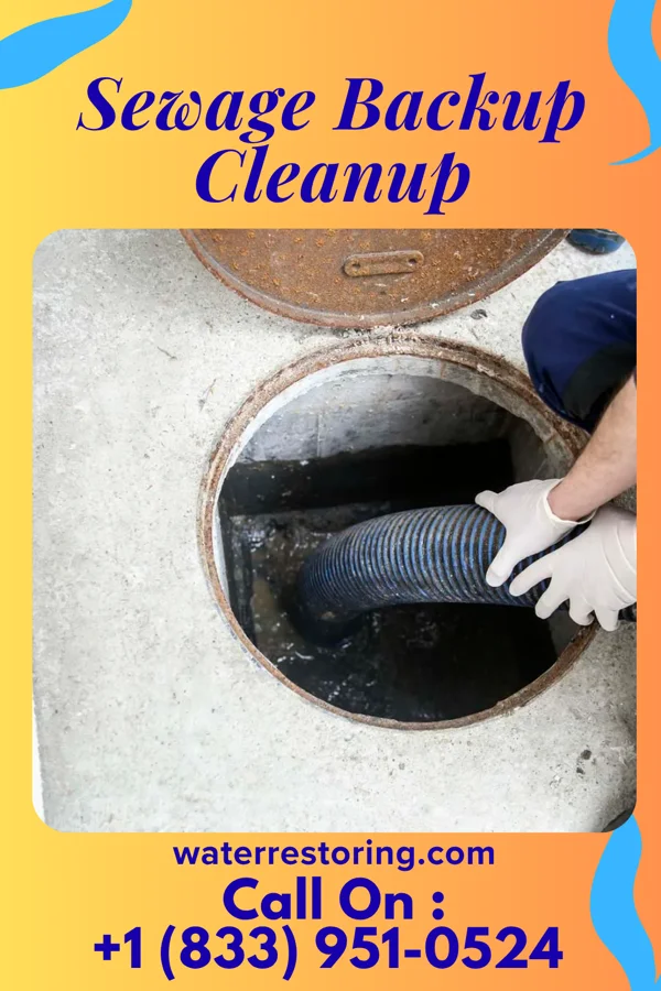 Sewage Backup Cleanup in Talty, TX